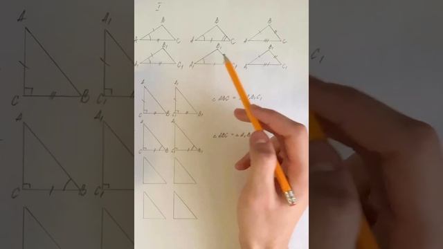 7 класс (Геометрия) Тема: Признаки равенства прямоугольных треугольников смотреть онлайн