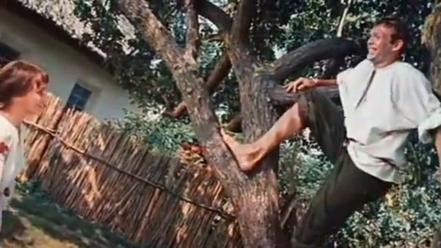 Девица черноброва Свадьба в малиновке смотреть онлайн