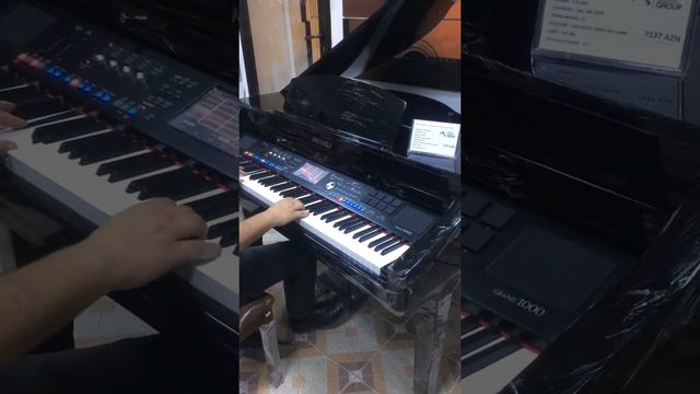 Medeli Grand-1000 смотреть онлайн