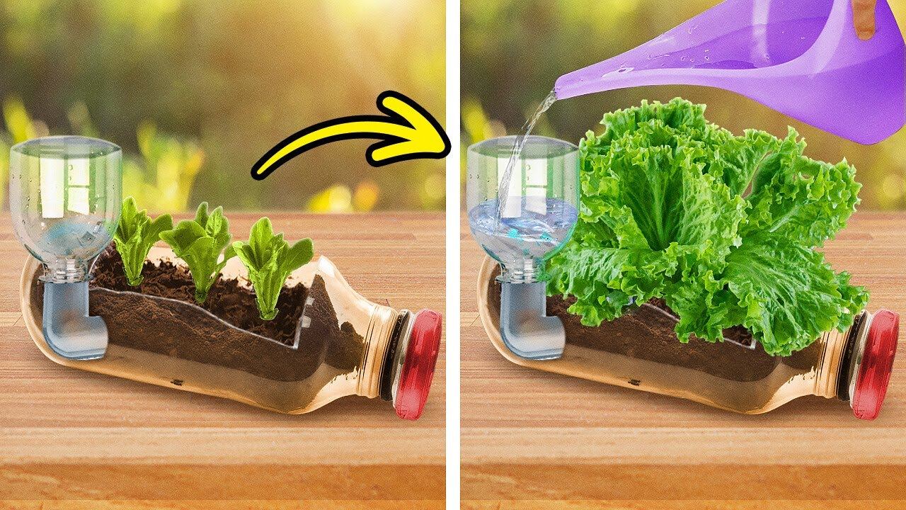 Умные советы и ремесла для процветающего сада и уютного заднего двора смотреть онлайн