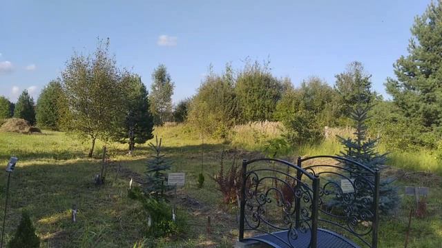 Образ Будущего Лямцевой Марины (продолжение), коллектив МаЭД, г. Саранск, август 2024