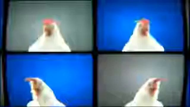 Петух КОКОКО смотреть онлайн