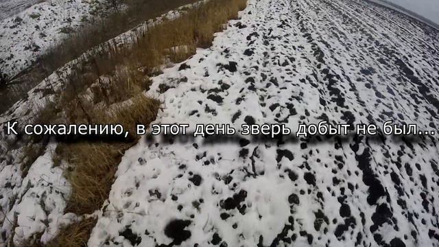 влог ОХОТНИЧЬЯ ПРОГУЛКА С ЯГДТЕРЬЕРОМ НА НИВЕ 2121/ СТРОИМ ЖИЗНЬ смотреть онлайн