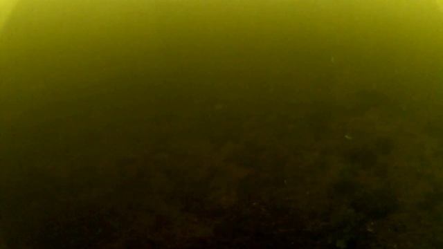 В поисках рыбы Отводной канал Южное Тушино смотреть онлайн