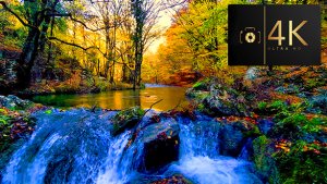 Шум реки в осеннем лесу. Звук реки для глубокого сна и полного расслабления.