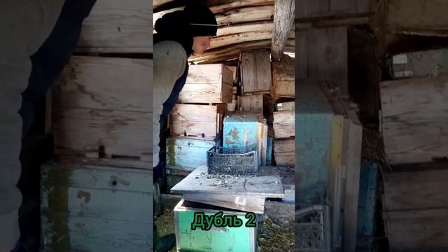 Два дубля про куриные яйца смотреть онлайн