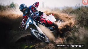 Стану птицей вольной