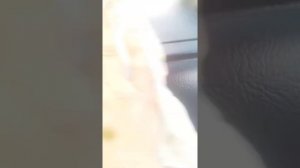 САМЫЙ ПРОСТОЙ И ДЕШЕВЫЙ СПОСОБ, ЧТОБЫ ПЫЛЬ НЕ ОСЕДАЛА НА ТОРПЕДУ И САЛОН АВТОМОБИЛЯ!!!!!!