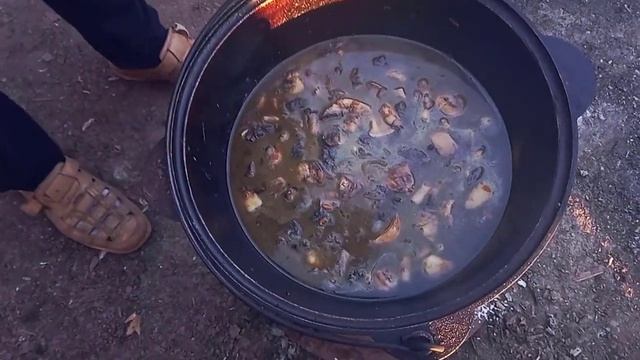 ГРИБНОЙ СУП ИЗ ШАМПИНЬОНОВ В КАЗАНЕ НА КОСТРЕ смотреть онлайн