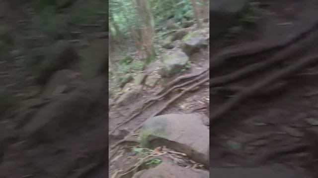 Ant Nation смотреть онлайн