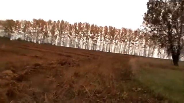 Пасьба коров. Размышление над стихотворением Пушкина. смотреть онлайн