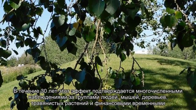 Рассчитан предел прочности человека смотреть онлайн