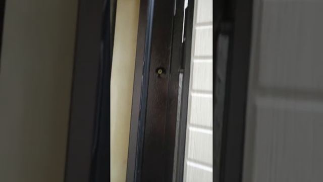 Двери входные в Красноярске Ергак 202 магазин ВАШИ ДВЕРИ ул Транзитная 22 Тел 8913-512-9000 смотреть онлайн