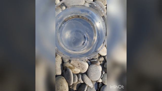 Медузка, Сочи 2020, Чёрное море. смотреть онлайн