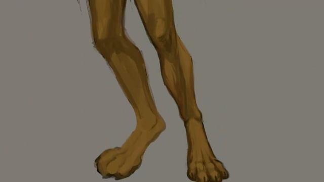 КАК РИСОВАТЬ ФУРРИ ЛАПЫ?! / Анатомия лапы смотреть онлайн