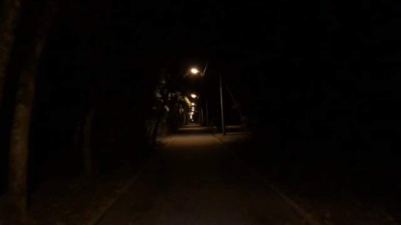 Ставропольские аллеи(гиперлэпс)ч.2