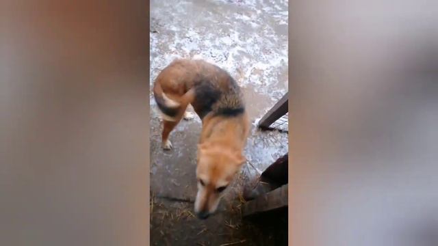 Поездка в Боево состоялась!!! смотреть онлайн