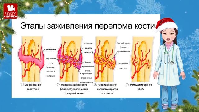 Азбука здоровья #6 Из чего состоят кости? смотреть онлайн