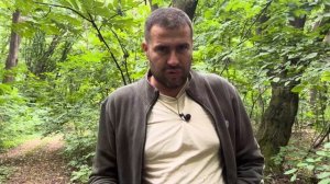 Как найти липу, сколько меда выделяет одна липа
