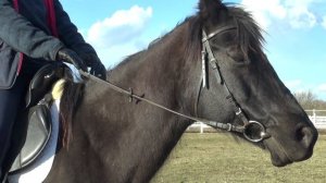 Про прокат. Как держать поводья.