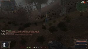 НС 2016.  Как сохранить Пантеру