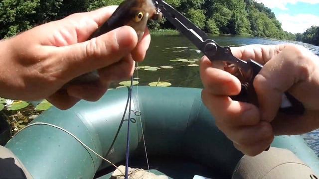 Пение провоцирует на поклёвку. Рыбалка на красивой речке среди леса. смотреть онлайн