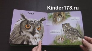 Детская музыкальная книга «Шумный лес» Говорящие животные. Азбукварик. Видео-обзор
