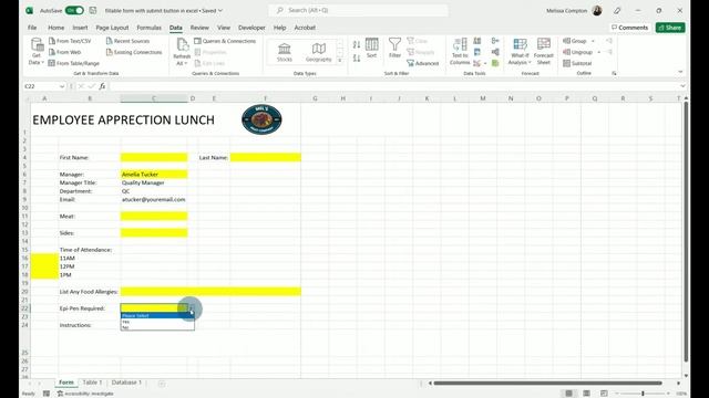 How To Create A Fillable Form With A Submit Button In Excel смотреть онлайн