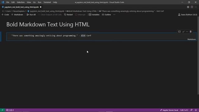 Jupyter Notebook | Markdown | How to Bold Text Using HTML Tags смотреть онлайн