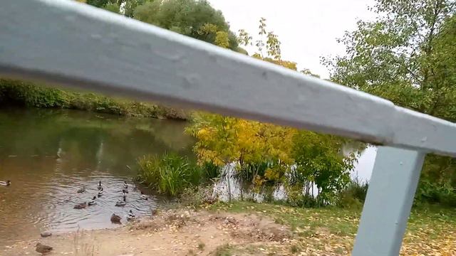 жизнь бомжиков красивые виды смотреть онлайн