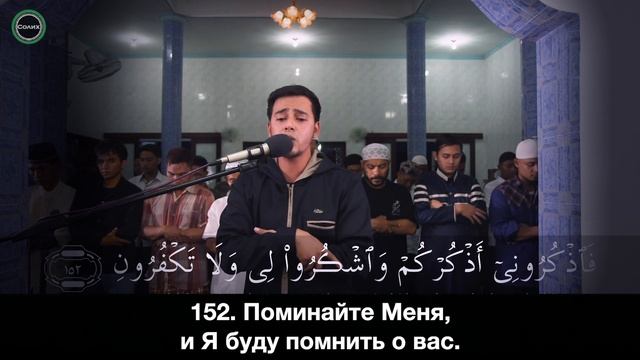 ОЧЕНЬ СПОКОЙНОЕ ЧТЕНИЕ КОРАНА от САЛИМА БАХАНАН