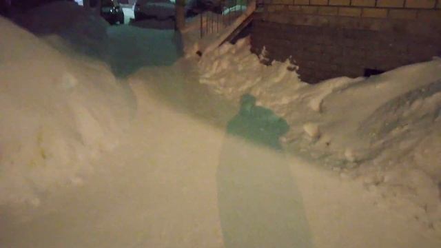 Во дворе одного из дворов Сыктывкара бегают крысы смотреть онлайн