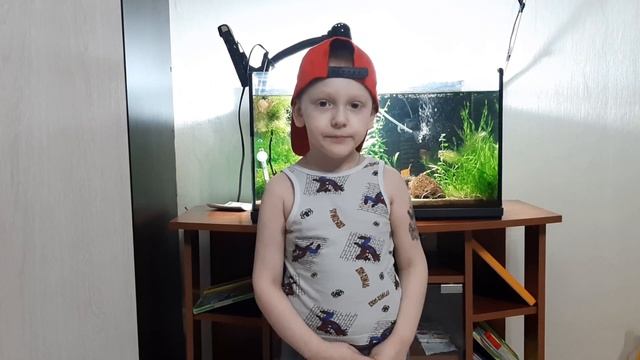 Аквариумные креветки "красный кристалл"Видео Обзор от 5 летнего мальчика смотреть онлайн