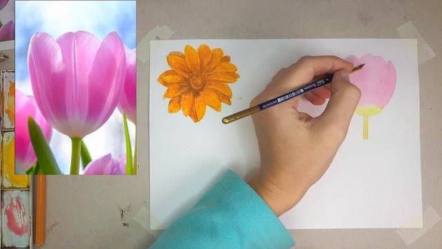Как нарисовать цветок Тюльпан смотреть онлайн