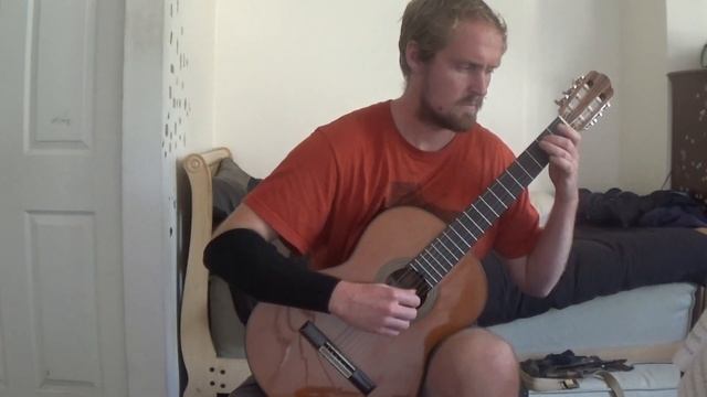 Waltz in G (F. Carulli) - Brian Edwards смотреть онлайн