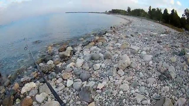 LRF - Duo Tetra Works POCOPOCO (LEVREK - İSPENDEK AVI ) - Light Rock Fishing - シーバス 釣り - LRF TEAM - смотреть онлайн