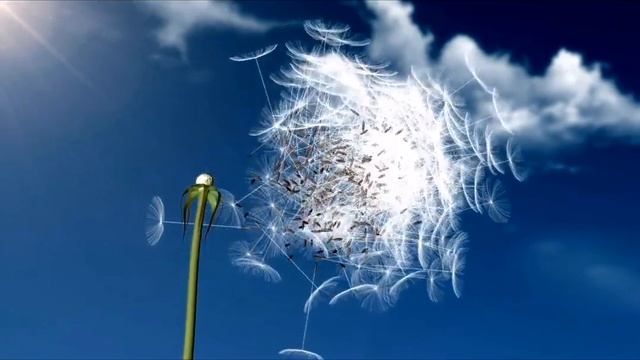 ЭФФЕКТИВНЫЙ СПОСОБ ПОХУДЕТЬ,SLENDER+ 25й КАДР ОДУВАНЧИК (для женщин) смотреть онлайн