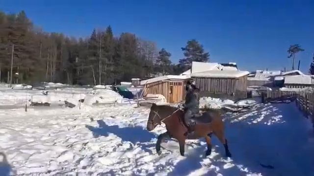 Объезжаем лошадь продолжение... смотреть онлайн