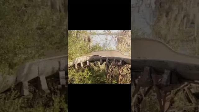 Это заброшенный диснейленд почему его закрыли? смотреть онлайн