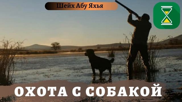 Нужно ли добычу, которую схватила собака зубами помыть семь раз и один раз с землей? | Шейх Абу Яхь смотреть онлайн