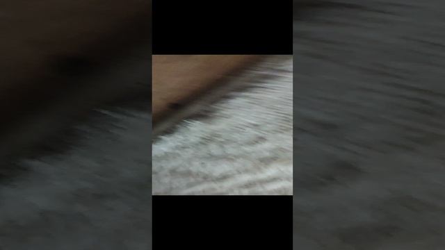1000032540.mp4 смотреть онлайн