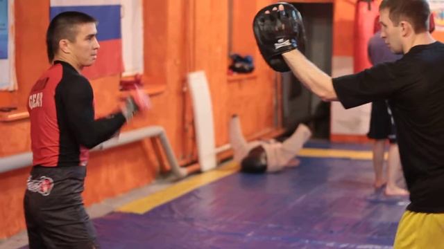 Работа боксера на лапах Стратег74 Boxer Working On Pads Russian Boxers