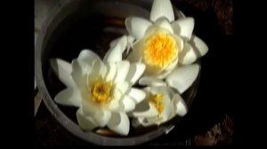 Пржевальское.Озеро Чистик.Смоленск. Павел Лясковский.