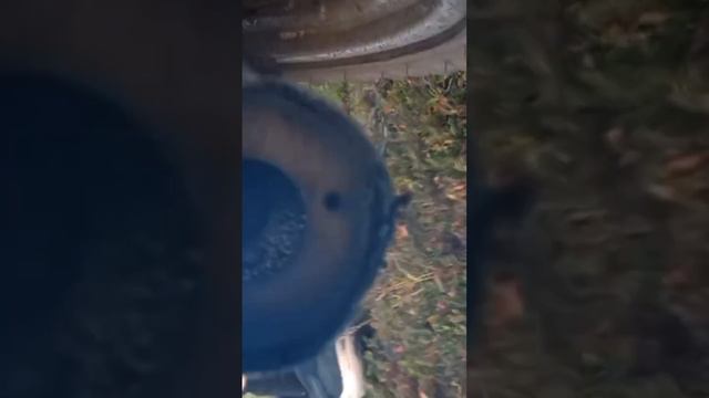 Восход 3м без флейт смотреть онлайн
