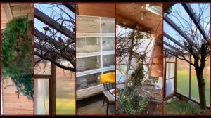 В гостях у заводчика певчих и декоративных птиц из Словакии.