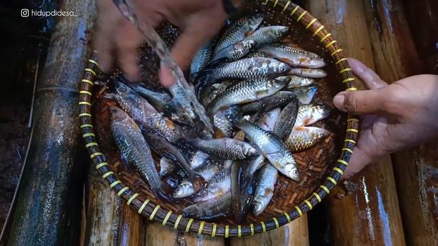 Nyari ikan rame-rame, ikan di sungai melimpah | Marak Lauk, ngaliwet bareng keluarga | Hidup di Des смотреть онлайн