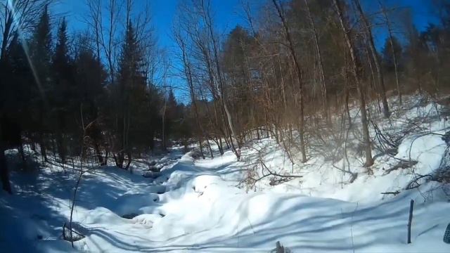 traxxas summit, redcat gen7 смотреть онлайн