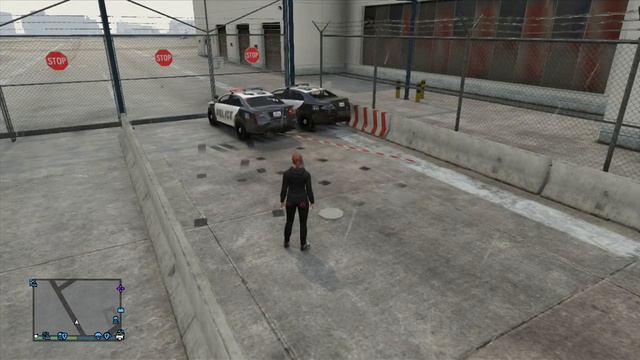Grand Theft Auto 5 online Stupid Cops смотреть онлайн