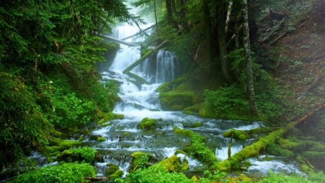 Нежить (Сергей Минцлов) смотреть онлайн