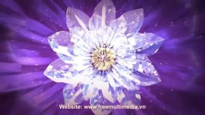 Free Diamond Lotus Flower Video Background
